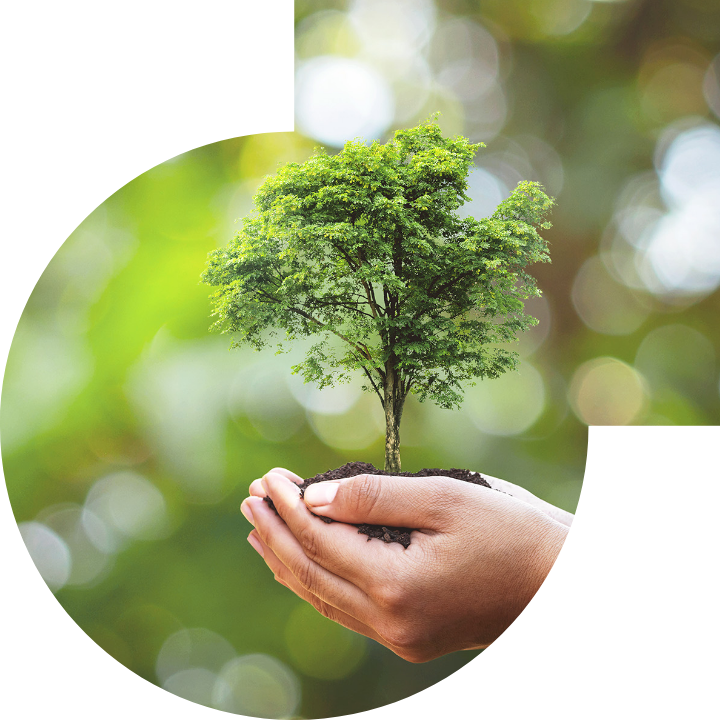 关怀人类、文化、环境与社会